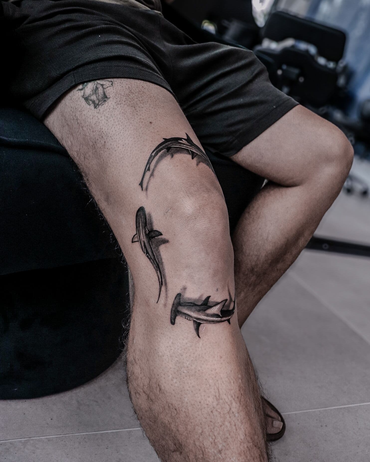 Hammerhaie, Tattoo am Bein